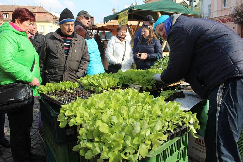 Venkovské trhy ve Šternberku