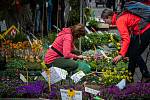 Jarní etapa květinové a zahradnické výstavy Flora Olomouc, 21. dubna 2022.