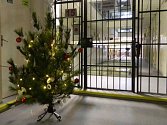 Vánoce v olomoucké vazební věznici