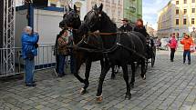 Svatomartinské trhy na Horním náměstí v Olomouci