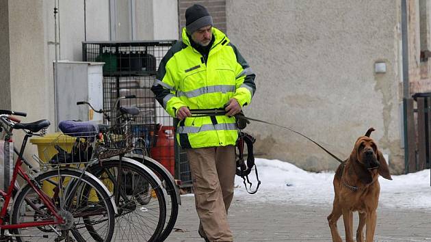 Kynolog se speciálně cvičeným psem pomáhá při pátrání po zmizelé Pavle Navrátilové