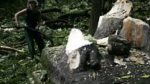 V Bezručových sadech v Olomouci zničil padající strom pozdně barokní pískovcovou sochu.