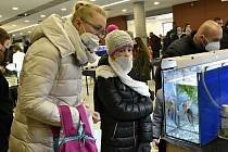 Chovatelská burza Aquatera na olomouckém výstavišti Flora, 29.1. 2022