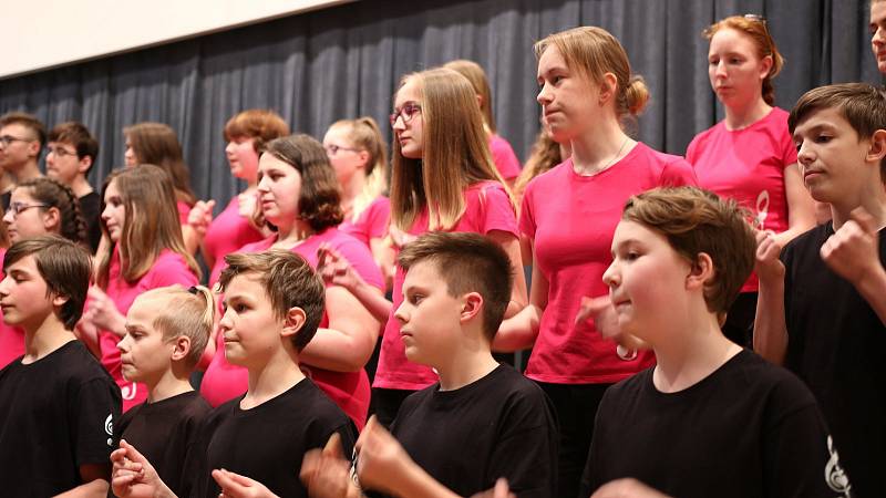 Na podporu dětského fondu UNICEF při OSN uspořádal dětský pěvecký sbor ZLATÝ KLÍČEK a sbor VOX COLORIS koncert nazvaný ZPÍVÁME PRO UNICEF. Na programu podvečera byla řada písní od domácích i zahraničních autorů. V závěrečné části zazněla kantáta od Bohusl