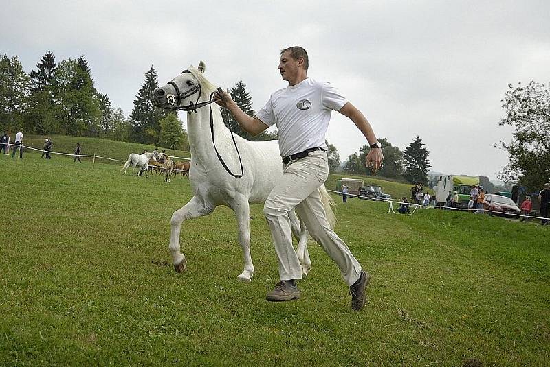 V Třebovici se po dvanácté jela tradiční Hubertova jízda.