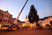 Letošní vánoční strom již stojí na Mírovém náměstí v Ústí nad Orlicí.