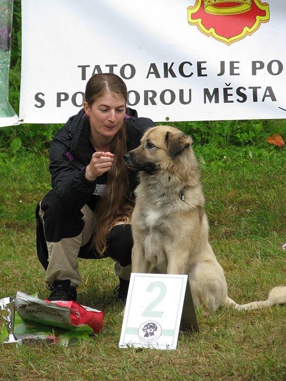 Voříškiáda 2015 v Lanškrouně