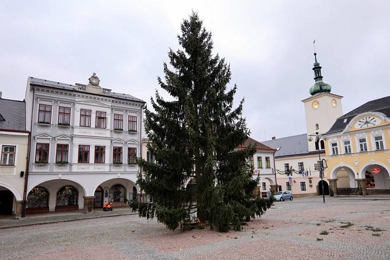 Vánoční strom zdobí Mírové náměstí.