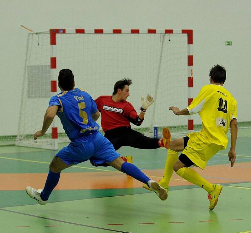 Balticflora Teplice vs. Nejzbach Vysoké Mýto 4:2