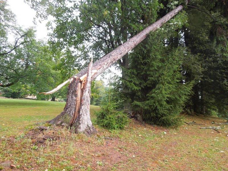 Bouře poškodila také arboretum u Domova pod hradem Žampach.