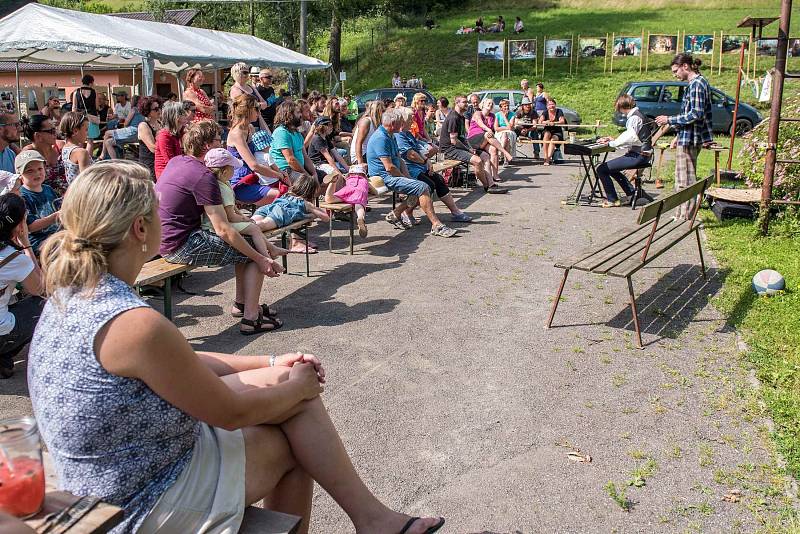 Svinná žila festivalem umění