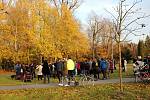 Výročí 30 let od Sametové revoluce se slavilo i v Chocni. V  parku u této příležitosti vysadili Lípu Josefa Luxe.