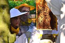Za špatnou včelařskou sezonu může především změna klimatu. Zatímco vloni trápilo včelaře sucho, letos to bylo špatné jaro. 