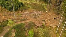 Kácení v městských lesích v Lanškrouně nesou někteří obyvatelé města nelibě. Foto: Facebook