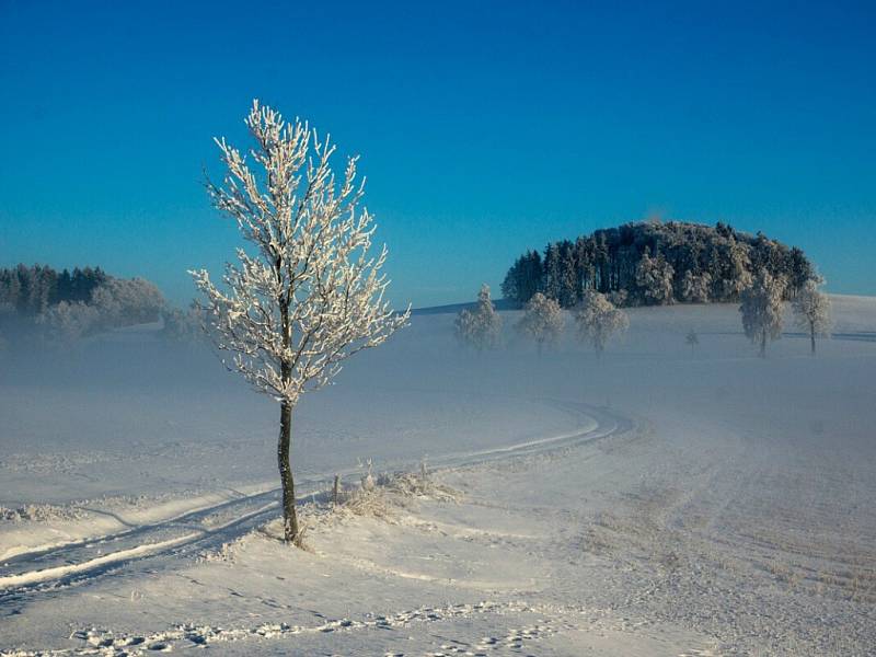 Zima na Jedlině a na Adamu.