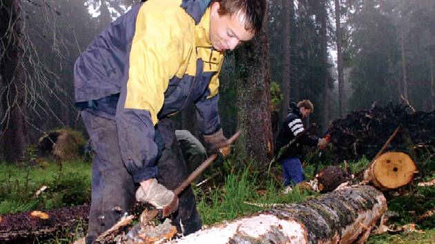 Pořádná dřina čekala na brigádníky při odstraňování následků větrné smršti Kyrill. V nejvzácnějších lokalitách Krkonoš byly kmeny zbaveny kůry a ponechány na místě. Odkornění předešlo rozmnožení kůrovce, který by jinak zničil les úplně.