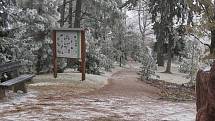 Arboretum na Žampachu.