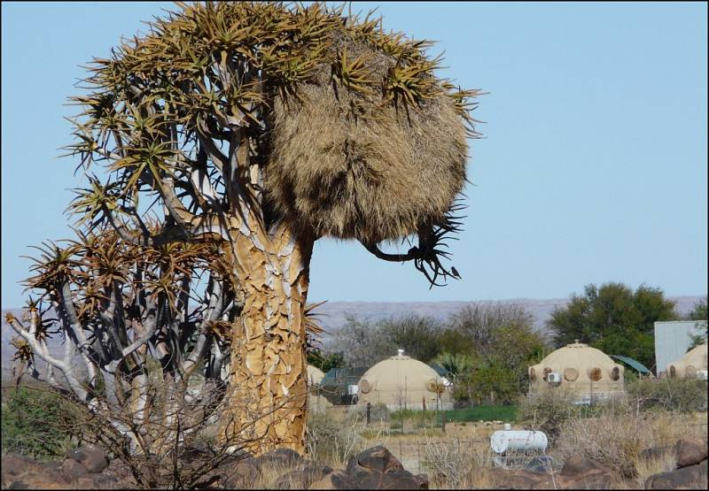 Z výpravy do Jižní Afriky.