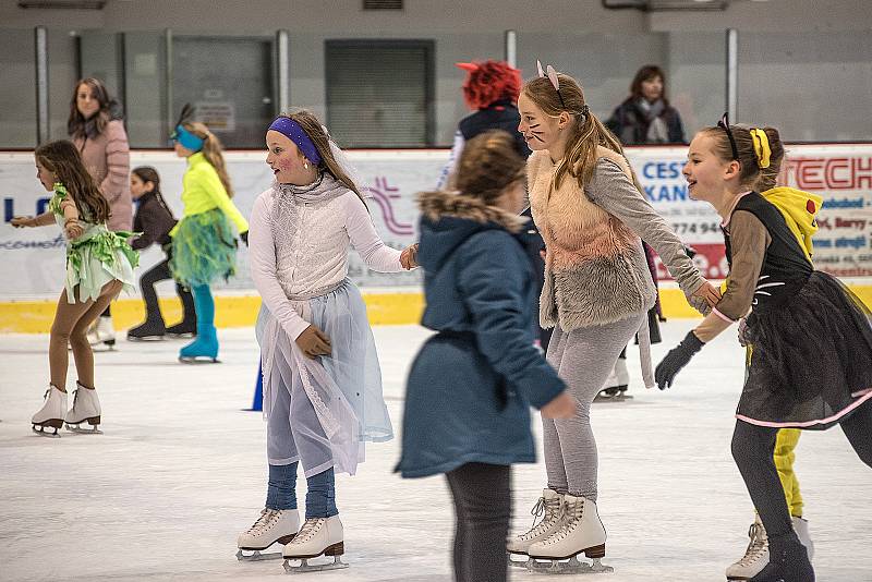 Na zimním stadionu v České Třebové se v sobotu konal karneval na ledě.