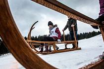 Závody na saních rohatých se uskuteční v sobotu 14. ledna ve Ski areálu Černá Voda, Orlické Záhoří.