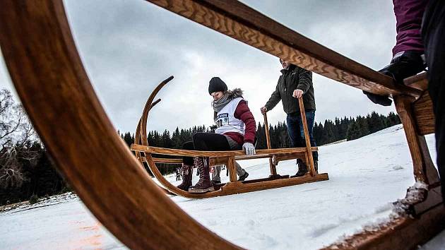 Závody na saních rohatých se uskuteční v sobotu 14. ledna ve Ski areálu Černá Voda, Orlické Záhoří.