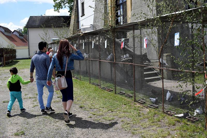 Spoustu atrakcí nejen pro děti, stánky, ale i výstava chovatelů drobného zvířectva, sobotní ohňostroj či Pouťfest, to byla 306. Kopečková pouť v Letohradě.