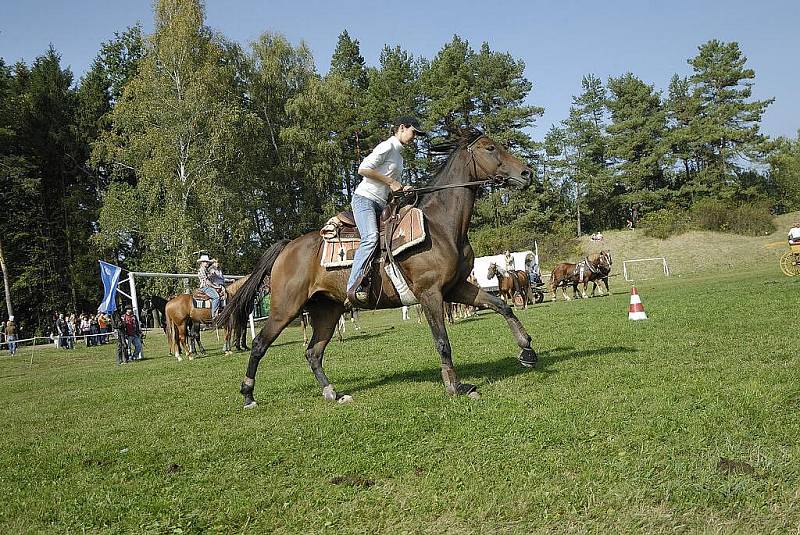 V Třebovici se po dvanácté jela tradiční Hubertova jízda.