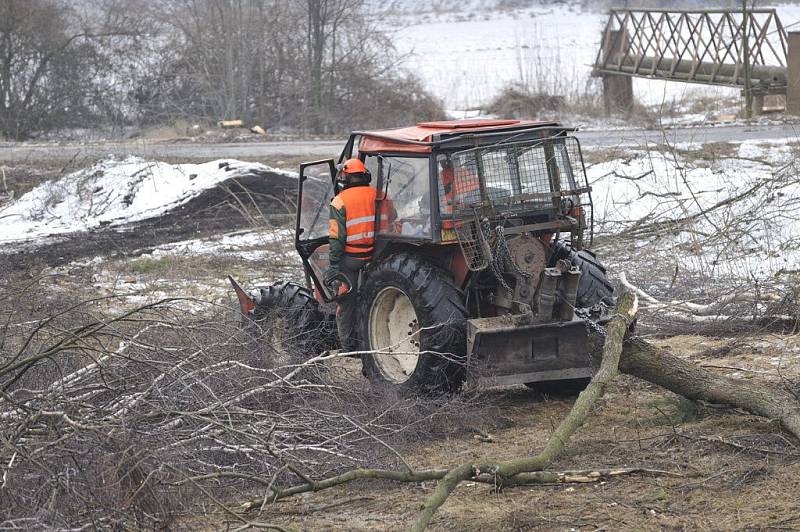 Výstavbě železničního koridoru předchází kácení stromů a dřevin.