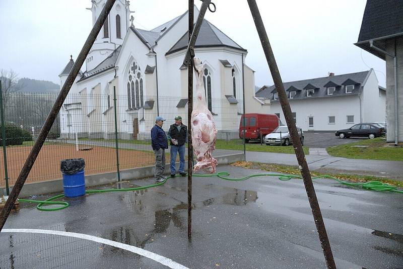 Od řezníka putovalo maso při Svatomartinské zabijačce v Dlouhé Třebové rovnou do kuchyně.