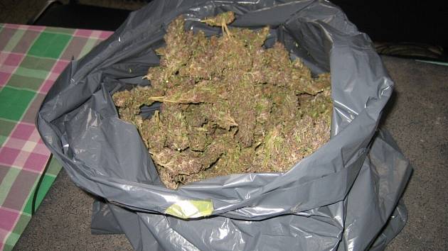 Marihuana nalezená nedaleko Žamberka.