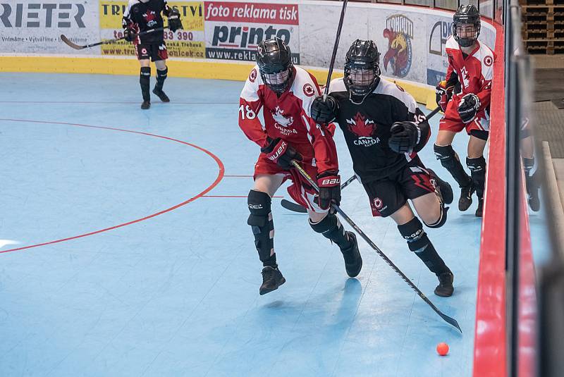 Zápasy Světového poháru v hokejbalu kategorie juniorů a dorostenců.