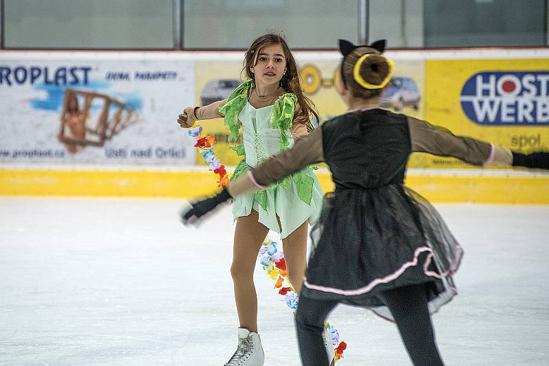 Na zimním stadionu v České Třebové se v sobotu konal karneval na ledě.