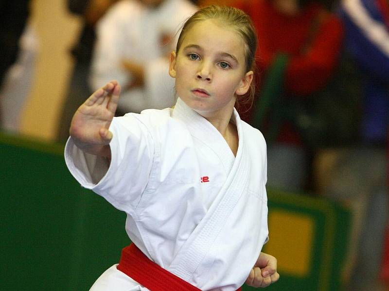 Turnaj O pohár starosty města v karate.