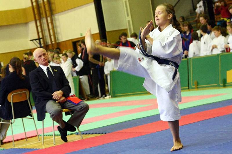 Turnaj O pohár starosty města v karate.