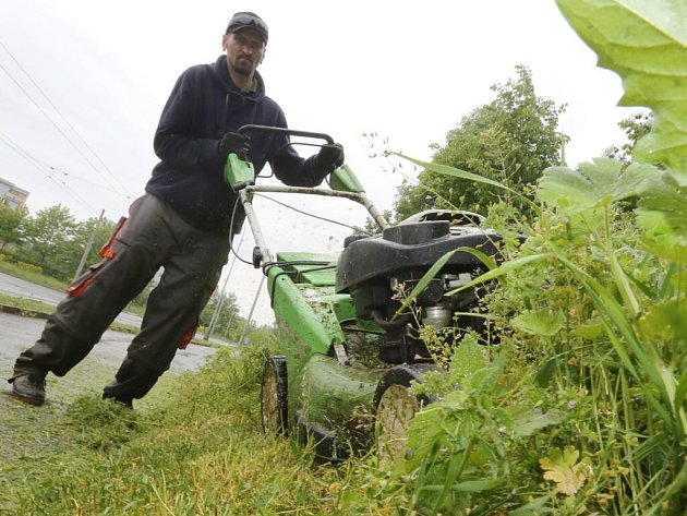 Ve Žďáře hledají nové sekáče trávníků, zakázku rozdělili napůl