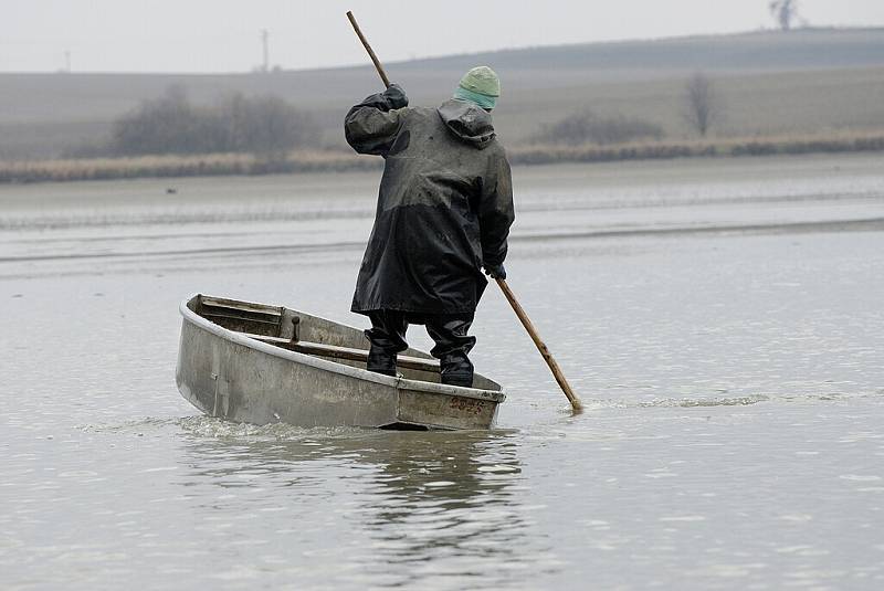 Výlov rybníku Hvězda.