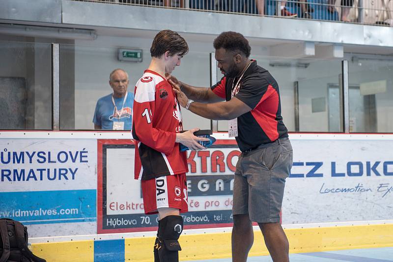 Na zimních stadionech v České Třebové a Litomyšli se odehrály zápasy Světového poháru v hokejbalu kategorie juniorů a dorostenců.