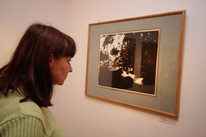 V ústecké Galerii pod radnicí začala v pátek tradiční výstava fotografií.