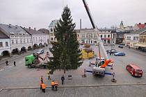 Vánoční strom zdobí Mírové náměstí.