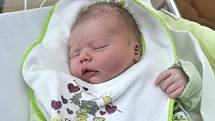 Matěj Peterka těší od 20. ledna od 5.55 hodin rodiče Kateřinu a Filipa z Chocně. V porodnici mu navážili 3,13 kg.