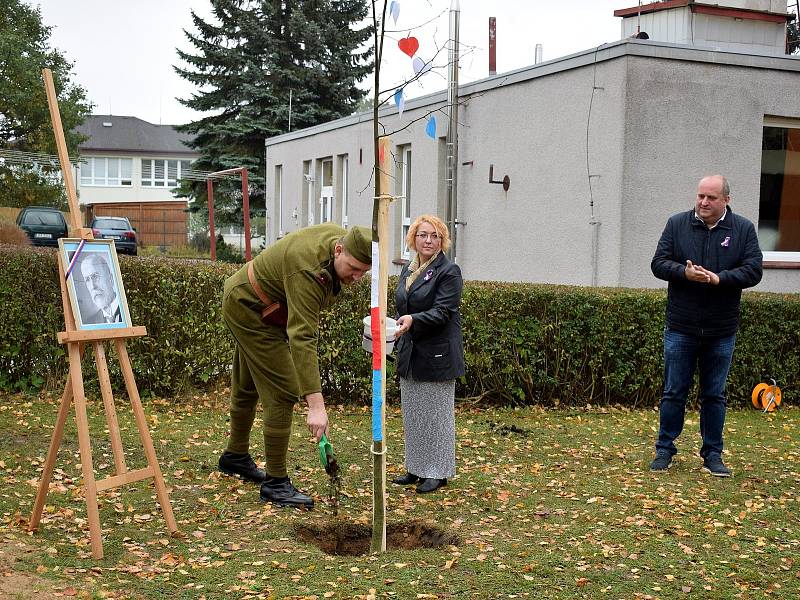 V Mateřské škole U Dvora roste nová lípa republiky.