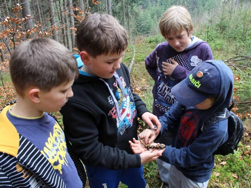 Úklid naučné stezky Údolím Skuhrovského potoka.