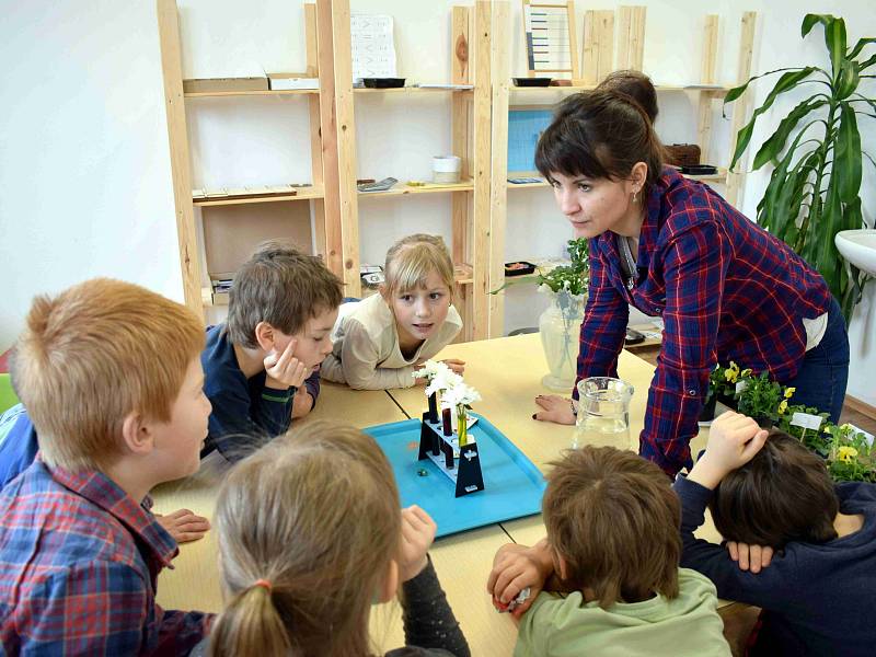 Ze života Montessori třídy v Jamném nad Orlicí.