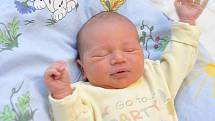 Daniel Kuzněcov je po Anetě druhým potomkem Veroniky a Jana z Dlouhé Třebové. Chlapeček se narodil 26. 12. v 0.19 hodin a vážil 3,970 kg.