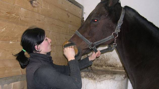 Na snímku je spolu s Peruánem ošetřovatelka koní  Kateřina Kolbabová.