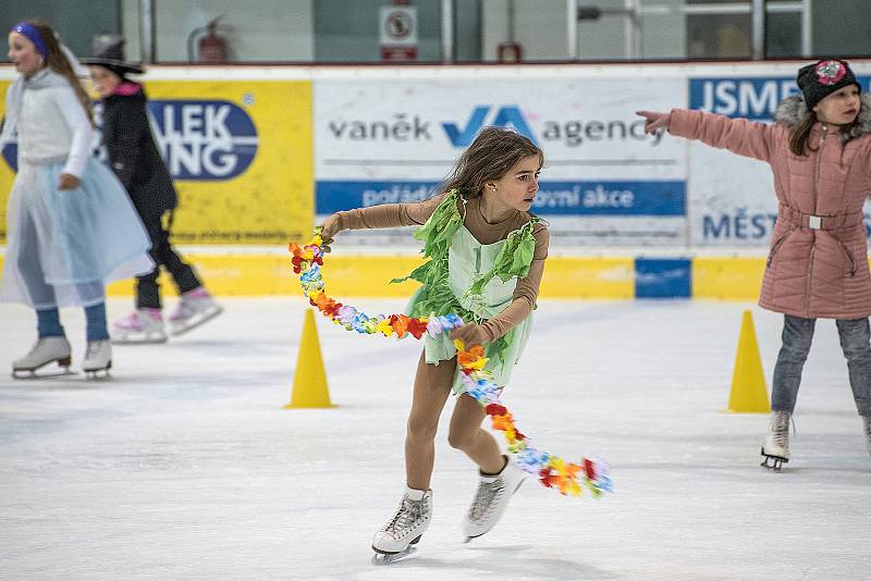 Na zimním stadionu v České Třebové se v sobotu konal karneval na ledě.