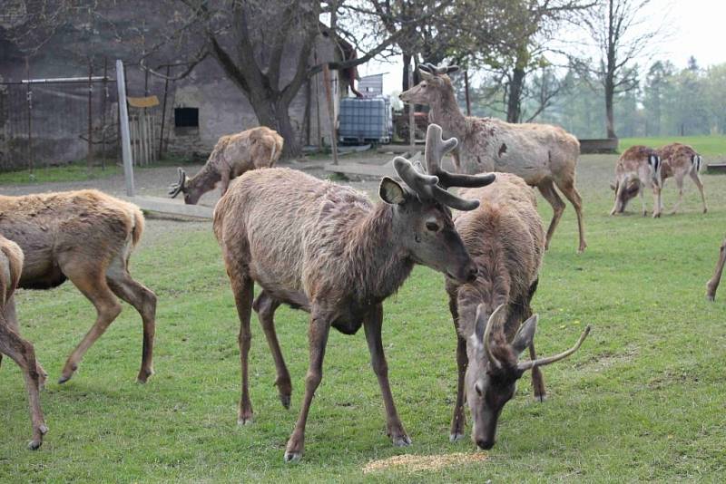 Den otevřených dveří na farmě Brůna.