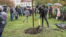 100 let republiky v České Třebové.