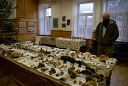 Výstava hub lákala na 263 druhů, mezi nimi byly i vzácné exponáty