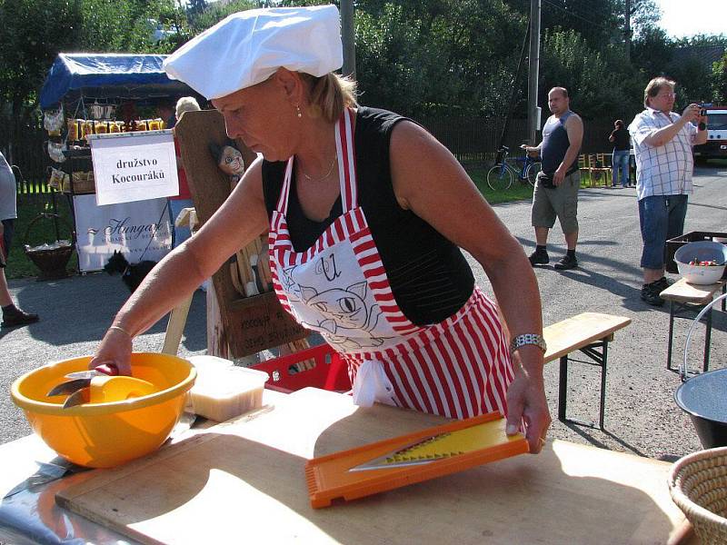 Guláš festival v Přívratu 2011.